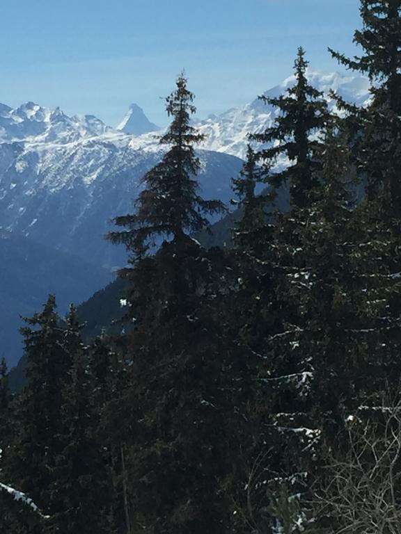 Haus Brunnen Διαμέρισμα Riederalp Εξωτερικό φωτογραφία